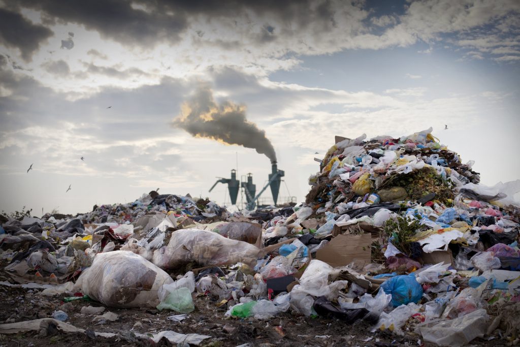 soluplasti reciclagem de plástico reciclagem plástico fuzza trade empresas rio claro importação exportação